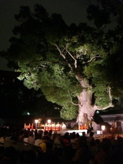 �Z�g�����