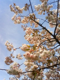 �Z�g�����ɂ�