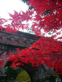 ���i�Αa��